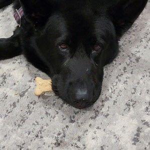 Meet your Posher, Rubin